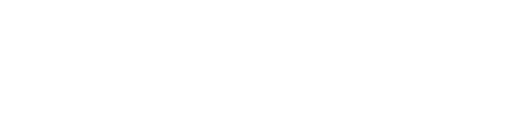 Logo Exeed